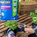 Levington Peat Free John Innes No2 Compost - 10L