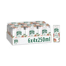 Maison Perrier Chic Rosellini 250ml Can Pack of 24 12605735