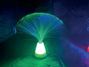 Fibre Optic LED Spray Lamp with Glitter Base SFL13