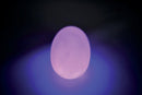 LED Sensory Light Up Egg Mood Light Battery Operated 90mm (Pack of 4) SCCE4