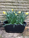 Oakwood Effect 60cm Trough For Plants / Garden Indoor or Outdoor