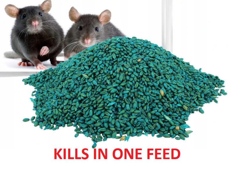 Rentokil Rodine Rat & Mouse Killer Grain Bait 6's - UK BUSINESS SUPPLIES –  UK Business Supplies