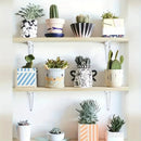 London White Shelf Bracket White 4X3IN 10X8CM