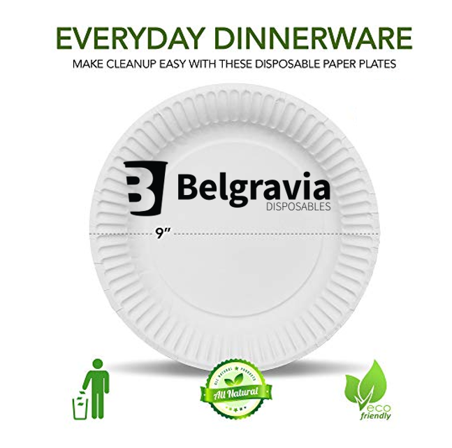 Disposable Paper Plates by Belgravia Disposables (23cm, 9") 100 Plates