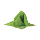 Spontex Specialist Microfibre Cloths Green (Pack of 10) 19700240