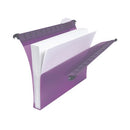 Rexel Multifile Extra Secura Suspension File A4 30mm Assorted (10 Pack) 2102573