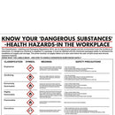 Health Hazards In The Workplace Poster 420X600mm PG23