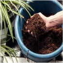 Miracle-Gro Peat-Free Premium Mediterranean & Citrus Plant Compost, 10L