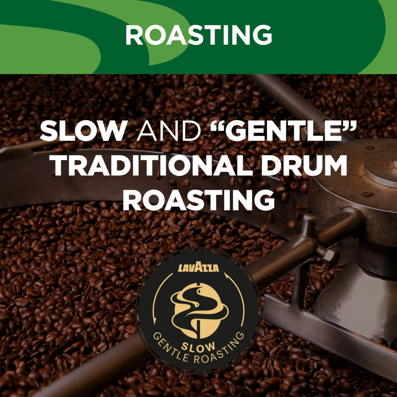 Lavazza Tierra Brasile Premium Blend Coffee Beans 1kg - UK BUSINESS SUPPLIES