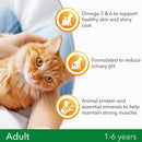 IAMS for Vitality dry cat food with chicken - dry food for cats aged 1-6 years, 800g - UK BUSINESS SUPPLIES