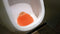 P-Wave Slant6 Urinal Screen Mango - UK BUSINESS SUPPLIES