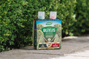 Westland Buxus Feed & Protect Concentrates 2 in 1 (2 x 500 ml) - UK BUSINESS SUPPLIES