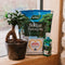 Westland Bonsai Potting Compost Mix and Enriched with Seramis 4 Litre - UK BUSINESS SUPPLIES