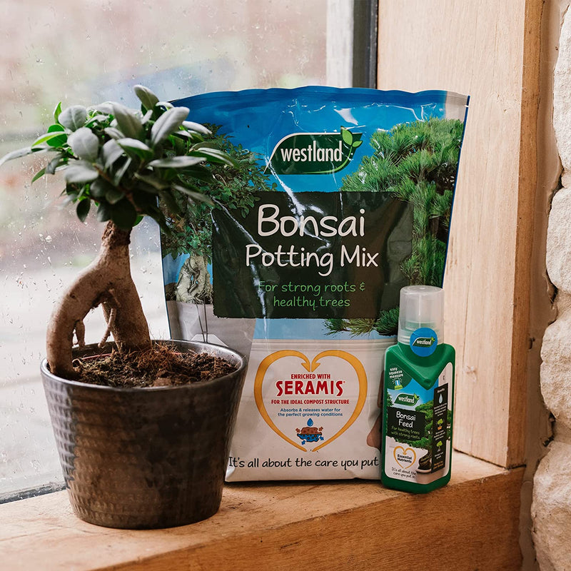 compost for bonsai trees Westland Bonsai Potting Compost Mix and Enriched with Seramis 4 Litre