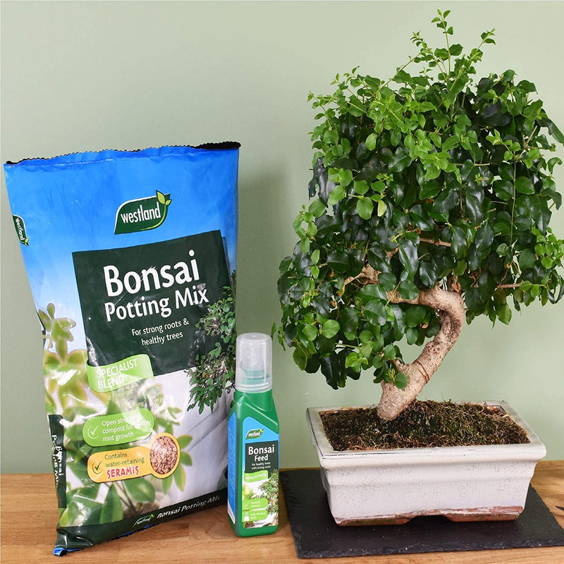 compost for bonsai trees Westland Bonsai Potting Compost Mix and Enriched with Seramis 4 Litre