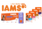 IAMS Delights Adult Cat Land & Sea Collection in Jelly 12x85g - UK BUSINESS SUPPLIES