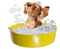 Red Gorilla {Tubtrug} Yellow Shallow Tub Large 35 Litre - UK BUSINESS SUPPLIES