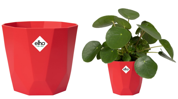 Elho b.For Rock Contemporary Plant Pots 18cm BRILLIANT RED - UK BUSINESS SUPPLIES