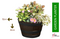 Fixtures Half Barrel Cask Planter Large, Brown 52cm x 32cm - UK BUSINESS SUPPLIES