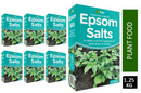Vitax Epsom Salts Liquid Fertiliser 1.25kg - UK BUSINESS SUPPLIES
