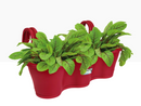 Elho Corsica Easy Hanger Trio Cranberry Red Planter {100% Recyclable} - UK BUSINESS SUPPLIES