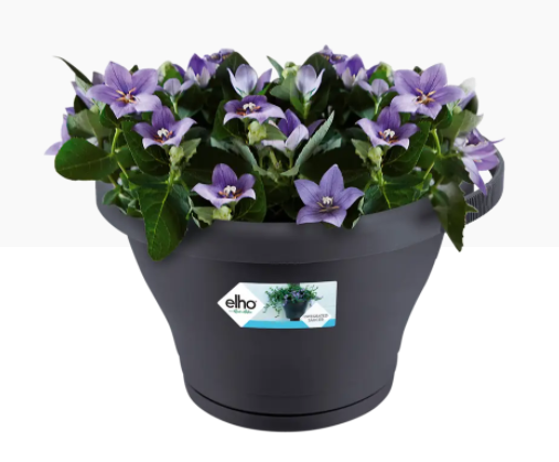 Elho Corsica Drainpipe Clicker Flower Pot 24cm ANTHRACITE - UK BUSINESS SUPPLIES