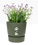 Elho Greenville Round Pot & Base LEAF GREEN 20cm - UK BUSINESS SUPPLIES