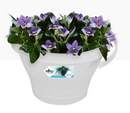 Elho Corsica Drainpipe Clicker Flower Pot 24cm WHITE - UK BUSINESS SUPPLIES
