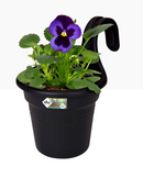 Elho Easy Hanger Small Single LIVING BLACK - UK BUSINESS SUPPLIES