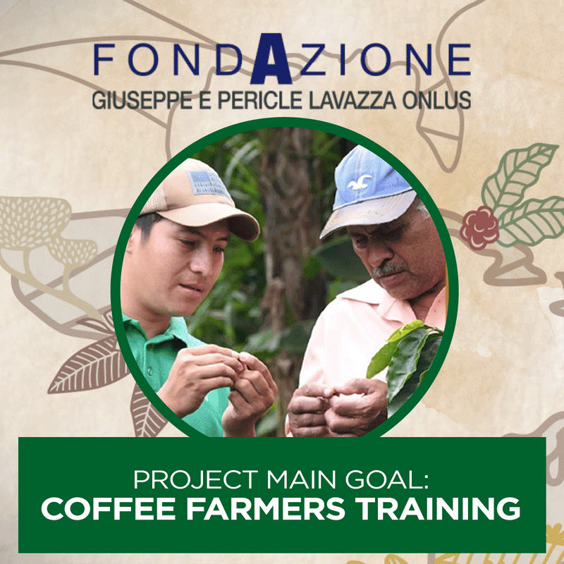 Lavazza Tierra Brasile Premium Blend Coffee Beans 1kg - UK BUSINESS SUPPLIES