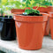 Stewart Garden 30.5cm (12inch) Flower Pots Terracotta - UK BUSINESS SUPPLIES