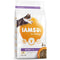 IAMS for Vitality Kitten Dry Cat Food Fresh Chicken 2kg - UK BUSINESS SUPPLIES