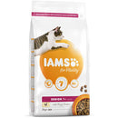IAMS for Vitality Senior Dry Cat Food Fresh Chicken 2kg - UK BUSINESS SUPPLIES