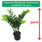 Fixtures Artificial Green Zamioculcas Zamiifolia Tree 50cm - UK BUSINESS SUPPLIES