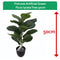 Fixtures Artificial Green Ficus Iyrata Tree 50cm - UK BUSINESS SUPPLIES