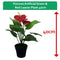 Fixtures Artificial Green & Red Leaves Plant 40cm - UK BUSINESS SUPPLIES