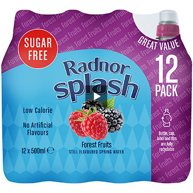 Radnor Splash Sugar Free Lemon & Lime 12x500ml - UK BUSINESS SUPPLIES