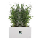 Elho Vivo Next White Long Planter 60cm - UK BUSINESS SUPPLIES