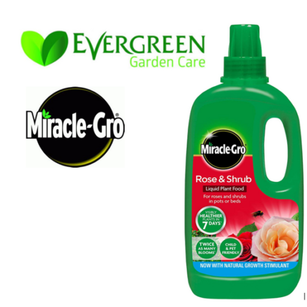 Miracle-Gro® Rose & Shrub 1 Litre - UK BUSINESS SUPPLIES