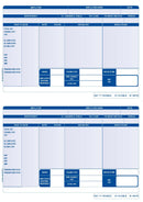 Iris Compatible A4 2 Per Sheet Payslip (Pack 1000) FY95 - UK BUSINESS SUPPLIES