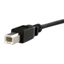 StarTech.com 1 ft Panel Mount USB B to B Cable - UK BUSINESS SUPPLIES