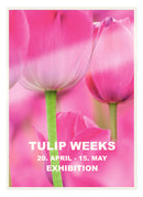 Leitz iLAM Premium Laminating Pouches A4 125 Microns (Pack 100) 74810000 - UK BUSINESS SUPPLIES